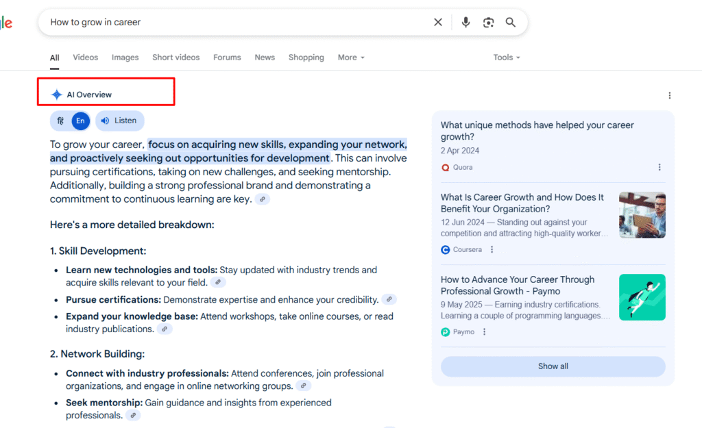 What Are Google AI Overviews
